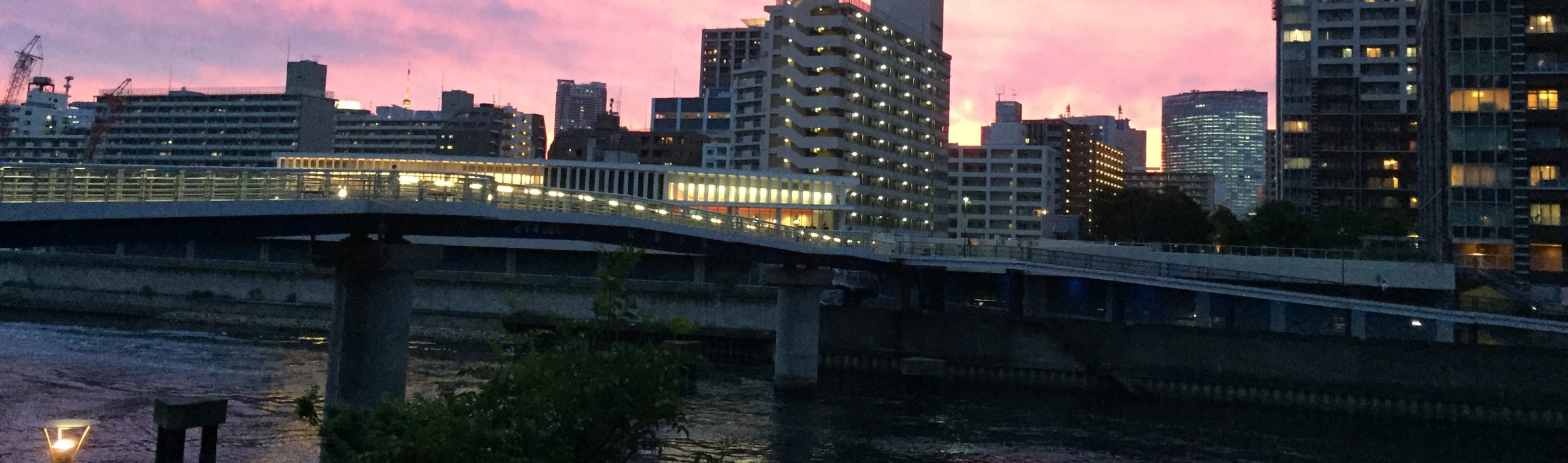 東京FISHING